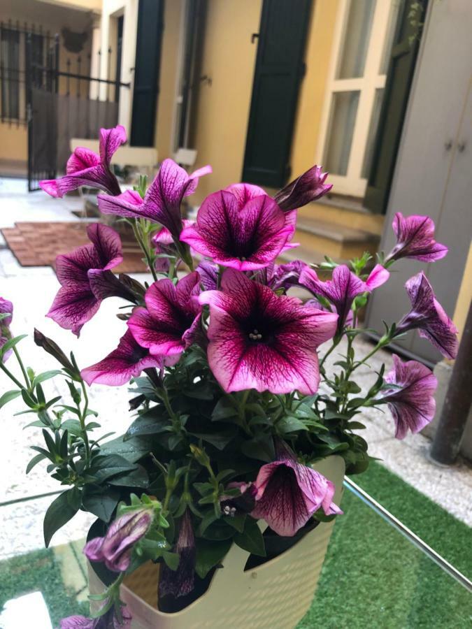 Le Palme Leilighet Bologna Eksteriør bilde